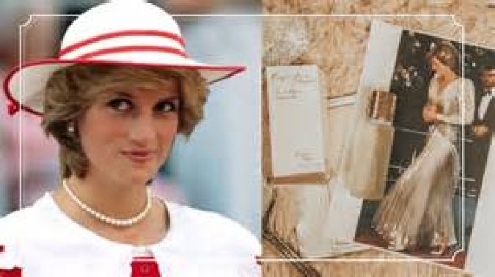 You can still buy Princess Diana's favourite Gottex swimsuit The Mail