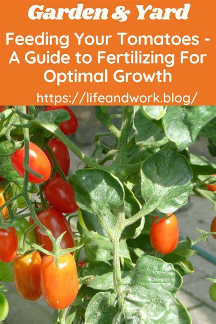 Your Guide To Optimal Growth