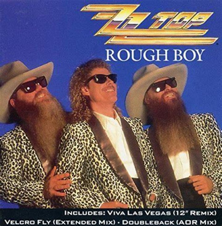 ZZ Top - Rough Boy (Official Music Video) - Bluegrass Rock Covers